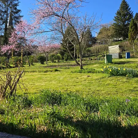 Le Refuge Des Sapins