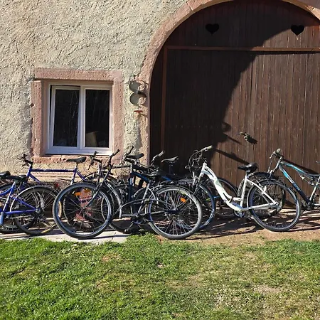 Holiday home Le Refuge Des Sapins Provencheres-sur-Fave