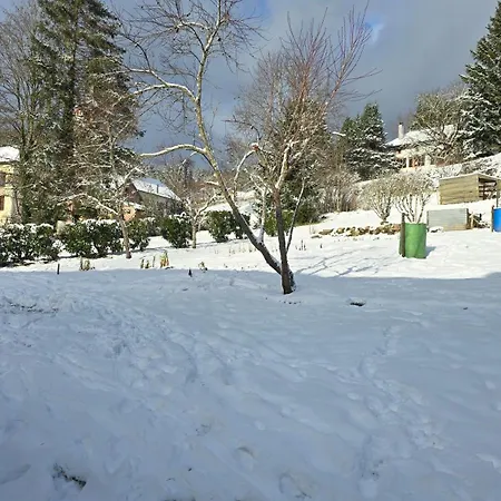 Le Refuge Des Sapins Ferienhaus Provenchères-sur-Fave