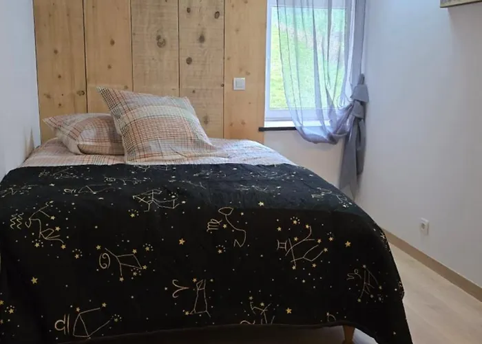 Le Refuge Des Sapins 度假居 Provenchères-sur-Fave